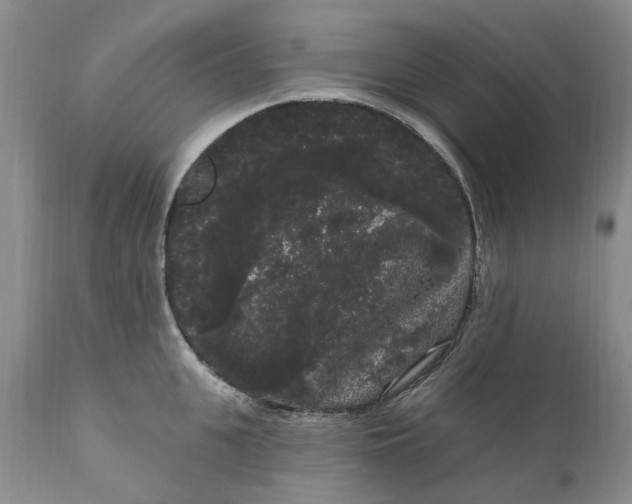 X0000111050951200907091630