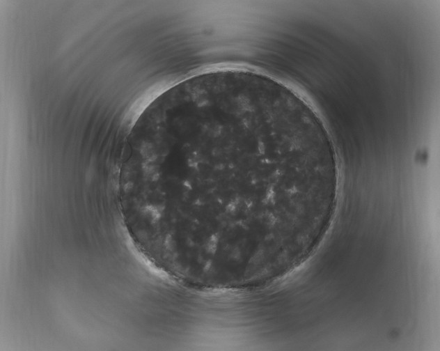 X0000111050953200907091630