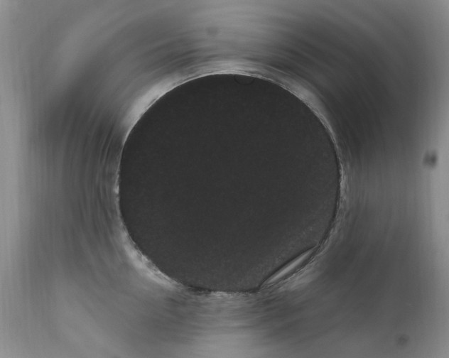 X0000111050954200907091630