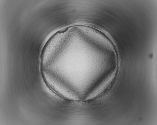 X0000111050955200907091630