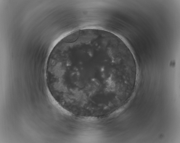 X0000111050957200907091631