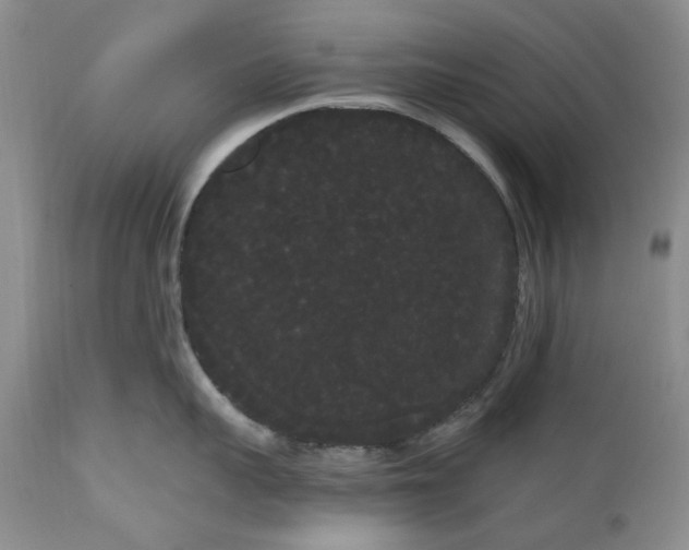 X0000111050959200907091631