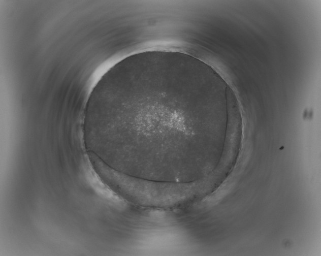 X0000111050960200907091631