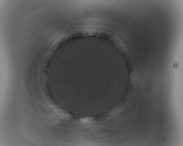 X0000111050961200907091630