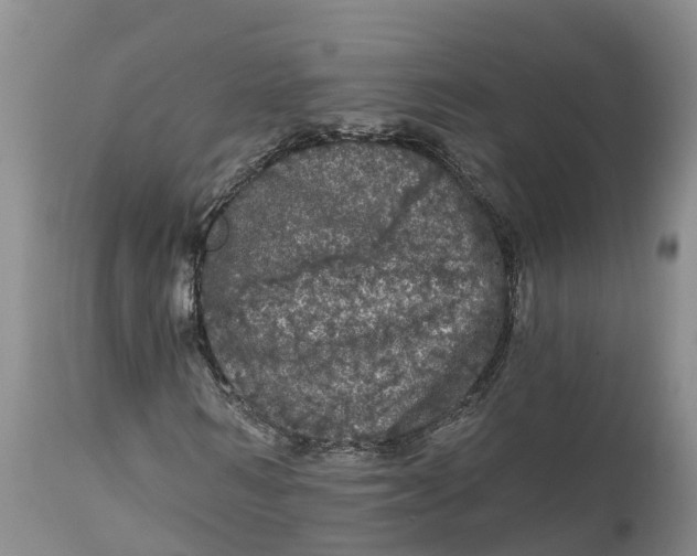 X0000111050962200907091630