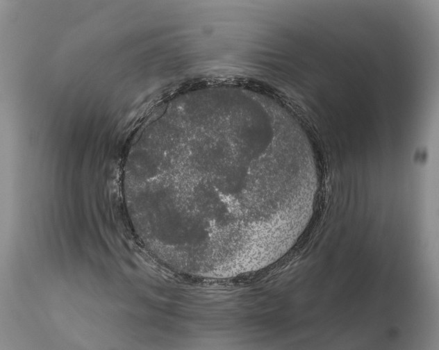 X0000111050964200907091630