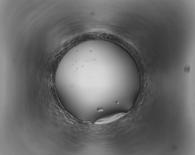 X0000111050965200907091629