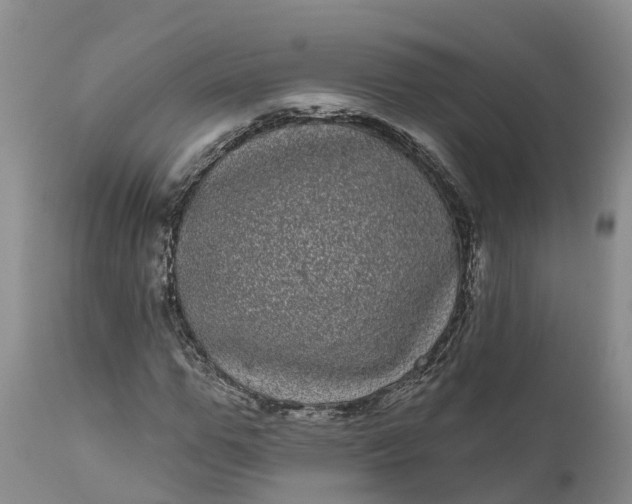 X0000111050967200907091629