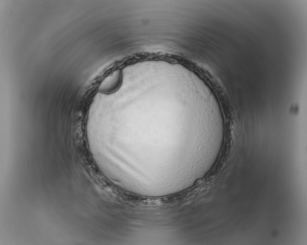 X0000111050968200907091629