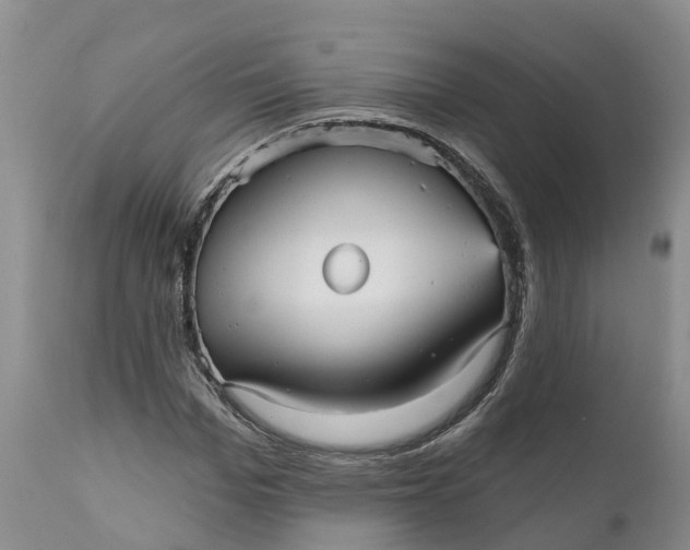 X0000111050969200907091629