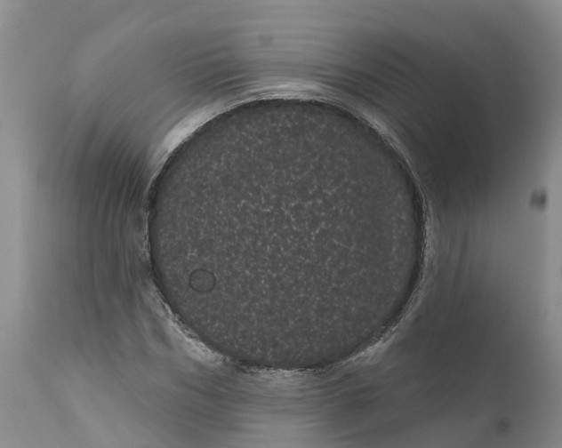 X0000111050970200907091629