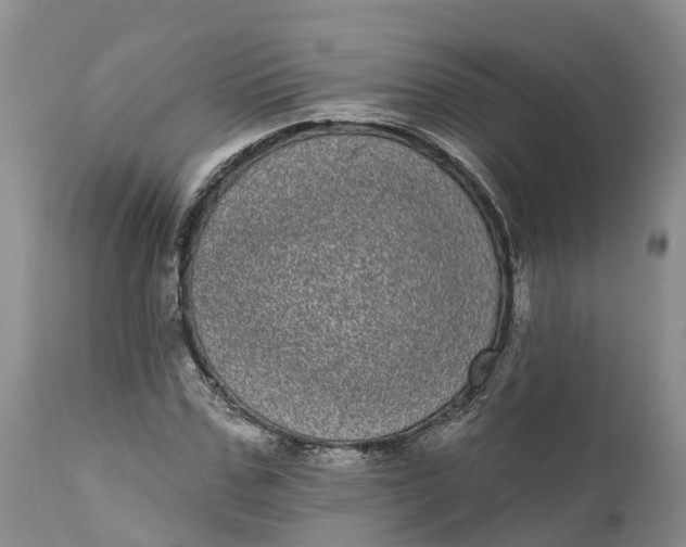 X0000111050971200907091629