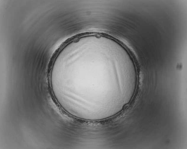 X0000111050972200907091629