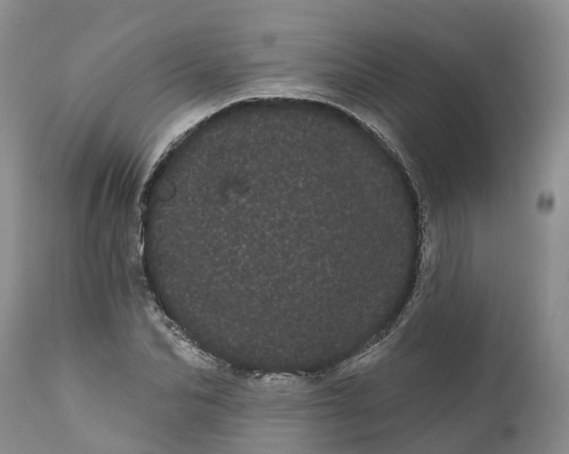 X0000111050974200907091629