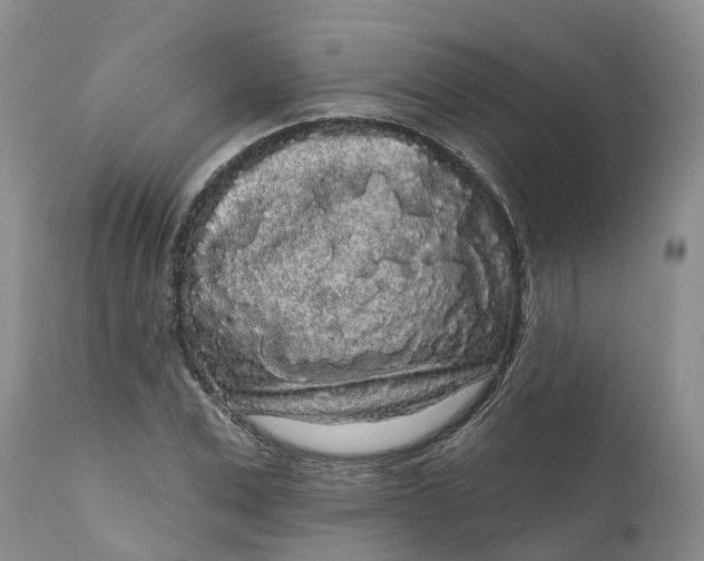 X0000111050975200907091629