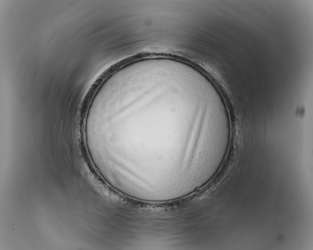 X0000111050976200907091629