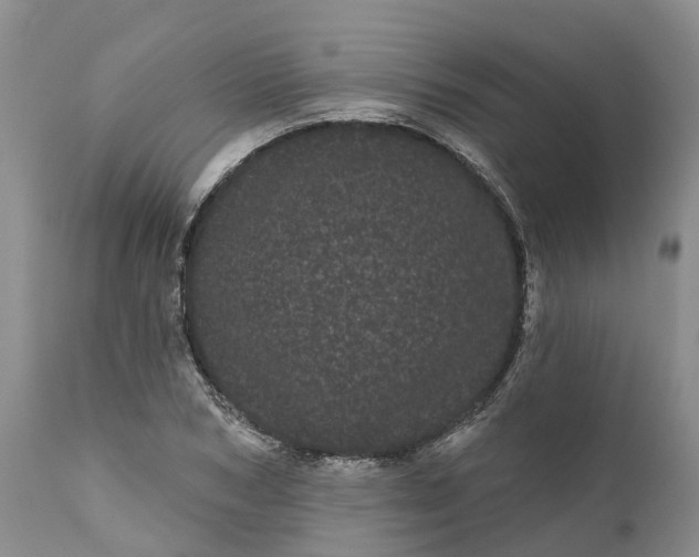 X0000111050978200907091629