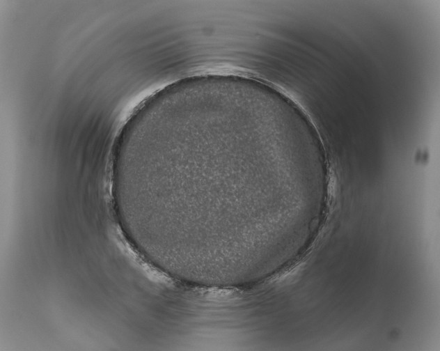 X0000111050979200907091629