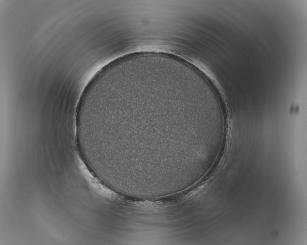 X0000111050980200907091629