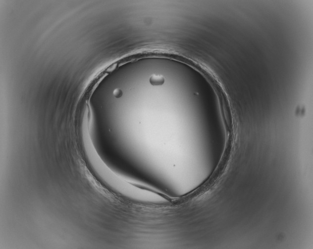 X0000111050981200907091629