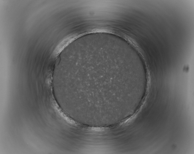 X0000111050985200907091629