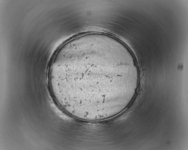 X0000111050987200907091629