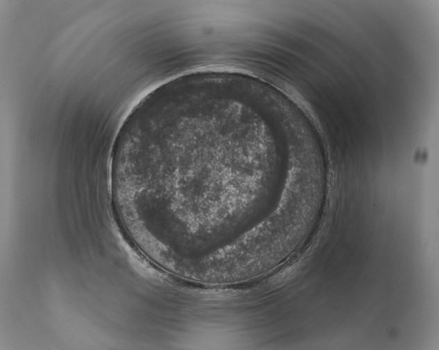 X0000111050988200907091629