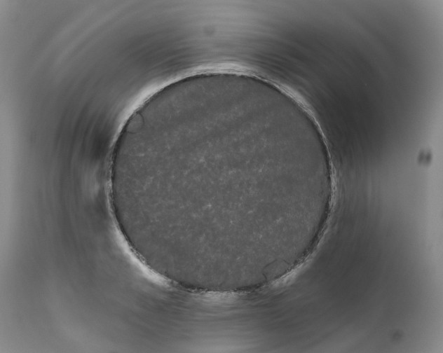 X0000111050989200907091629