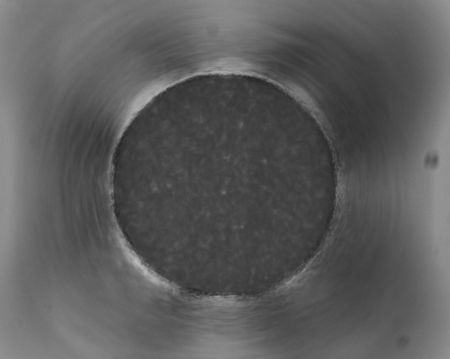 X0000111050990200907091629