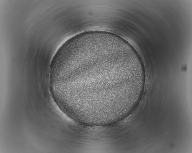 X0000111050992200907091629