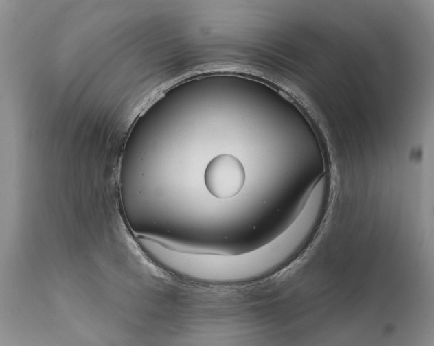 X0000111050993200907091629