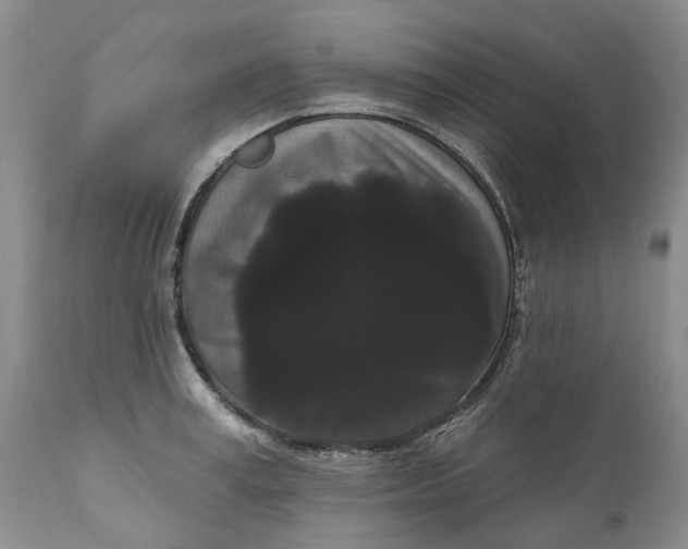 X0000111050995200907091629