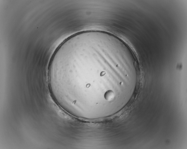 X0000111050996200907091629