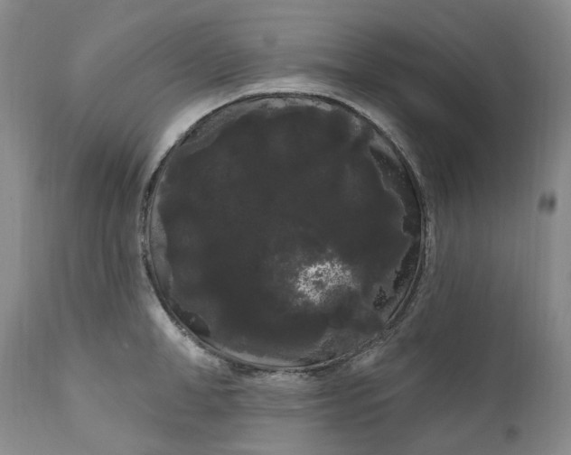 X0000111050998200907091629