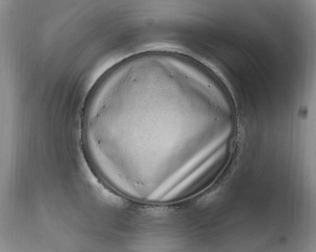 X0000111050999200907091629