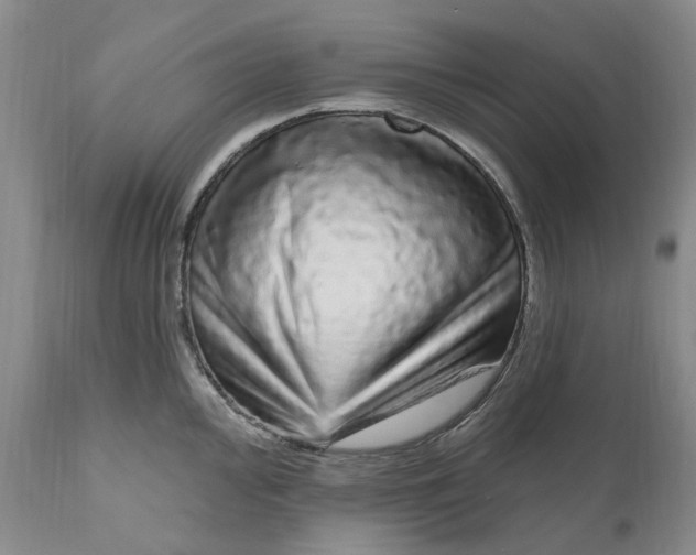 X0000111051000200907091629