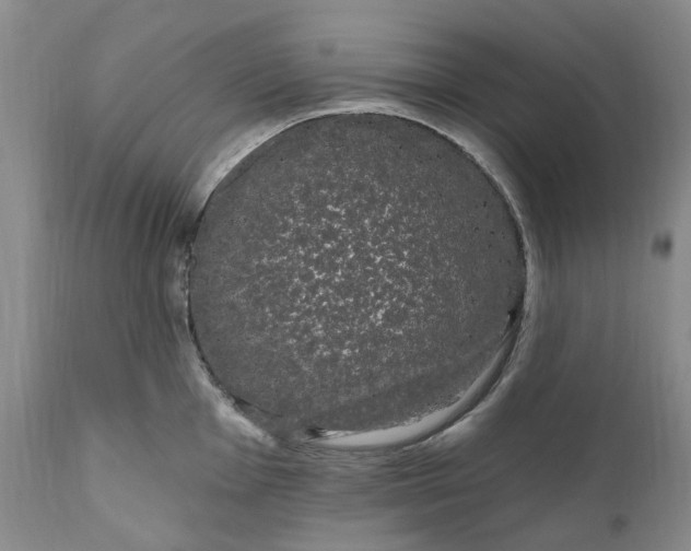 X0000111051001200907091629