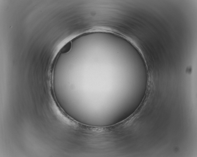 X0000111051003200907091629