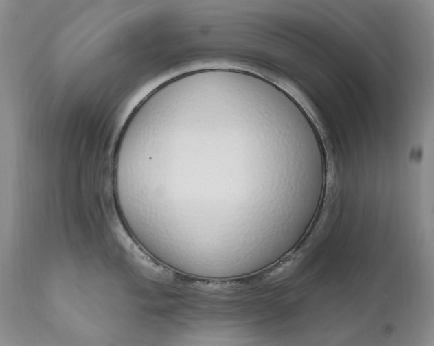 X0000111051004200907091629