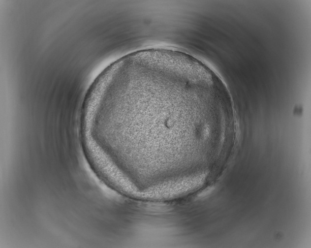 X0000111051007200907091629