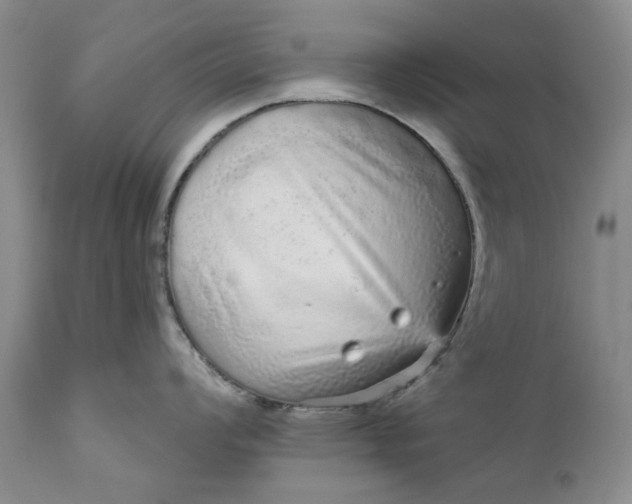 X0000111051008200907091629