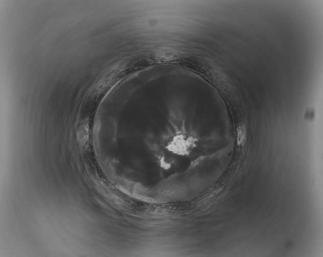 X0000111051011200907091628