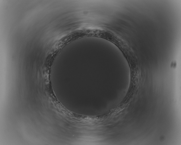 X0000111051013200907091628