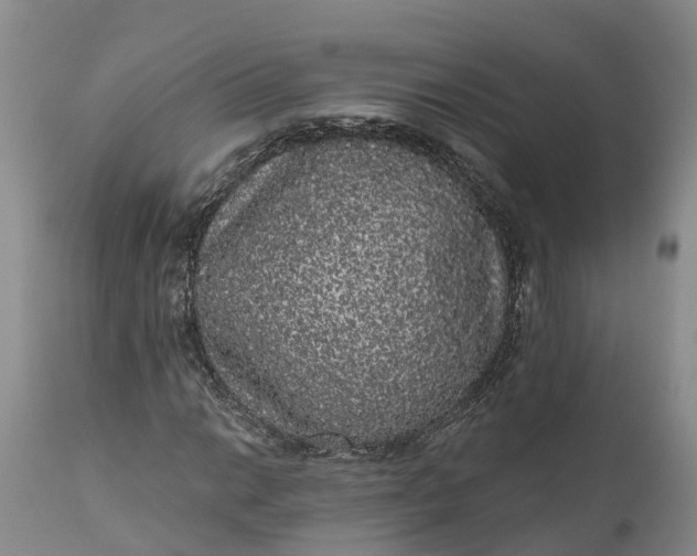 X0000111051014200907091628