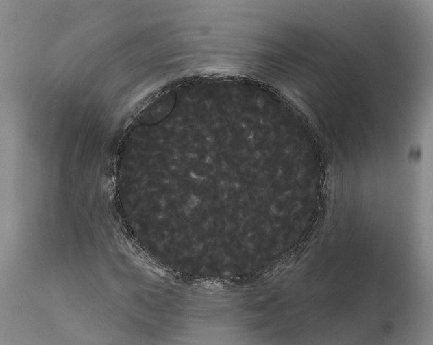 X0000111051015200907091628