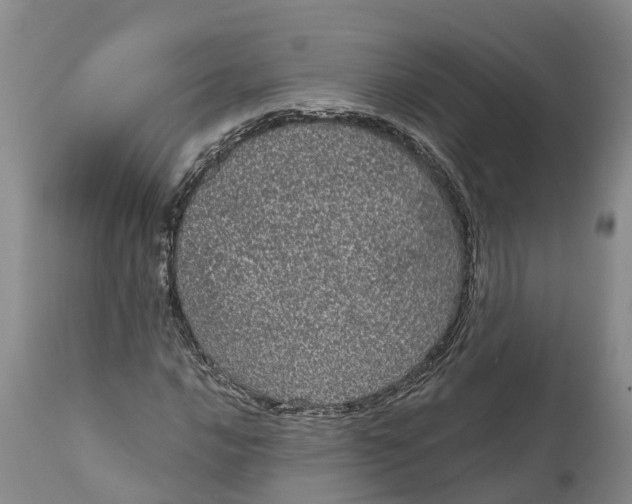 X0000111051016200907091628