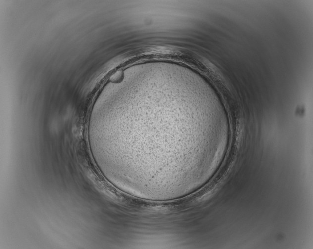 X0000111051017200907091628