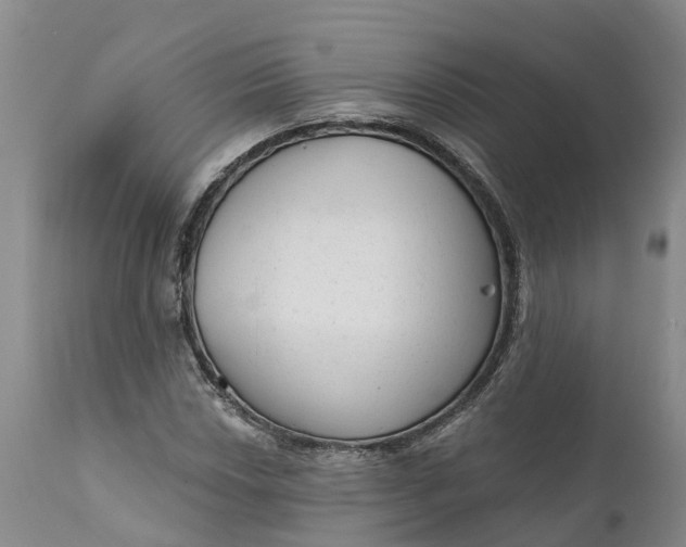 X0000111051018200907091628