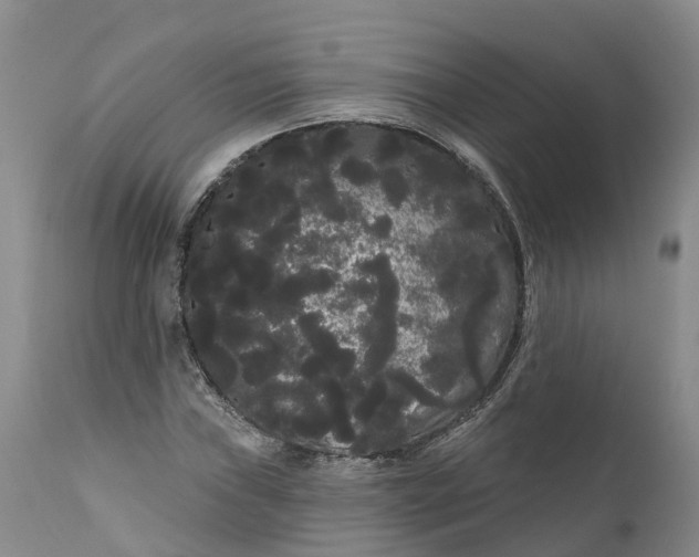 X0000111051019200907091628