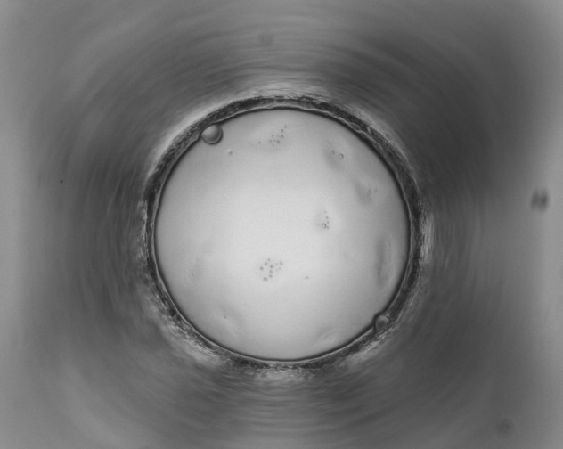 X0000111051021200907091628